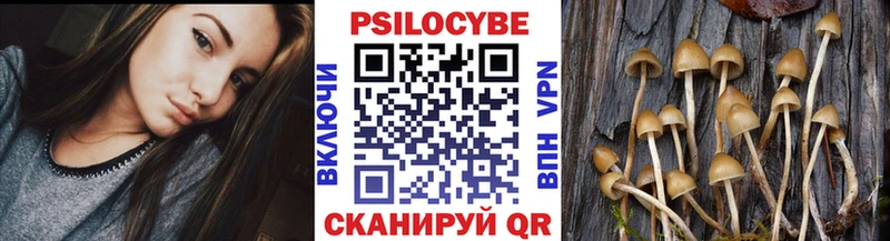 как найти закладки  Апатиты  Псилоцибиновые грибы GOLDEN TEACHER 